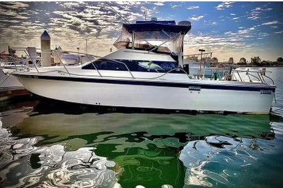 1990 Skipjack 28 Flybridge with Triple axle aluminum trailer... Located in San Diego, Ca... Offered By Yacht Coast Yacht Sales